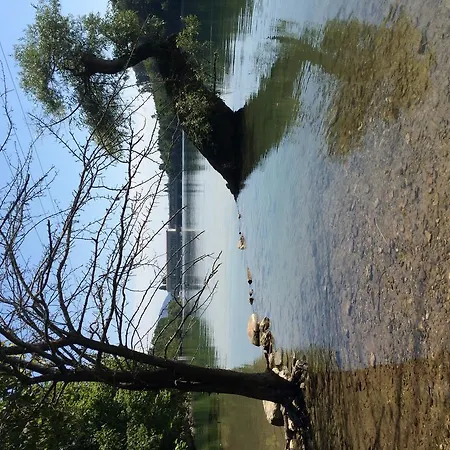 Storchen 酒店 莱茵费尔登