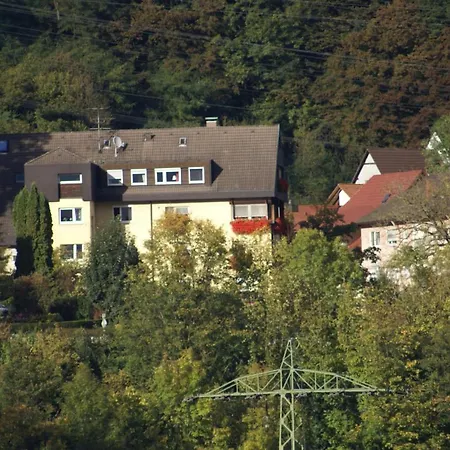 מלון Storchen ריינפלדן