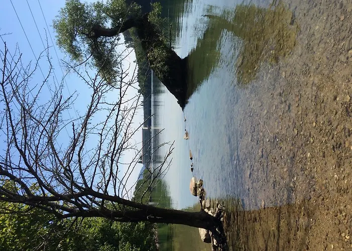 Storchen 酒店 莱茵费尔登