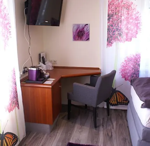 Storchen 酒店 莱茵费尔登