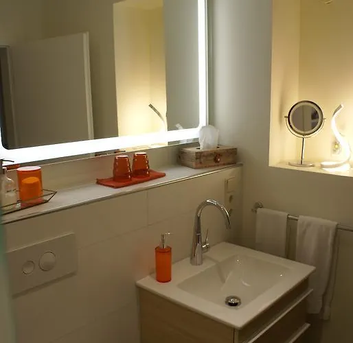 酒店 Storchen 莱茵费尔登