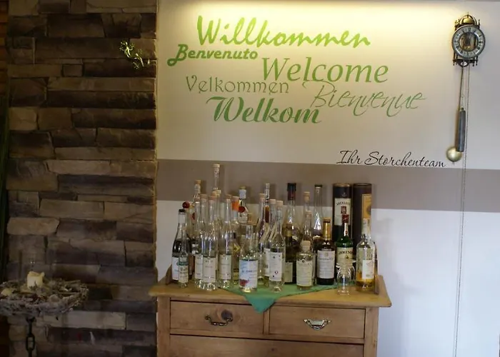 Storchen 3* 莱茵费尔登