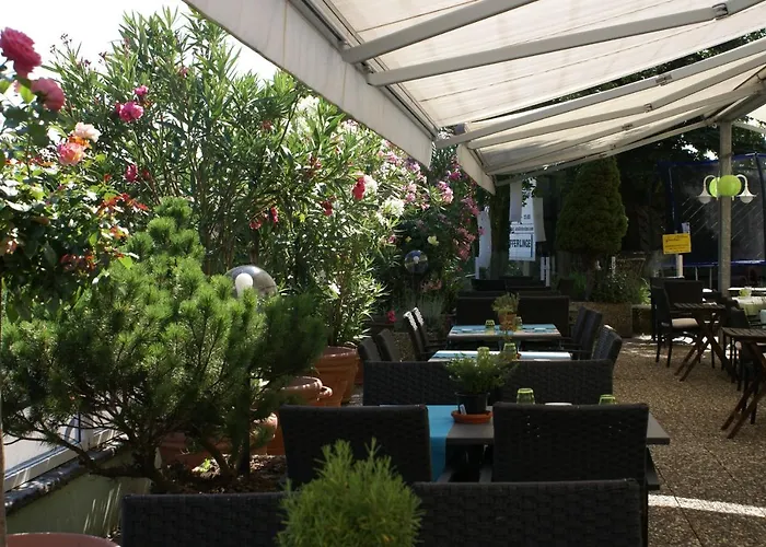 Storchen 莱茵费尔登