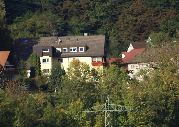 酒店 Storchen 莱茵费尔登